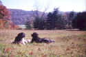 ClearDay.jpg (48350 bytes)